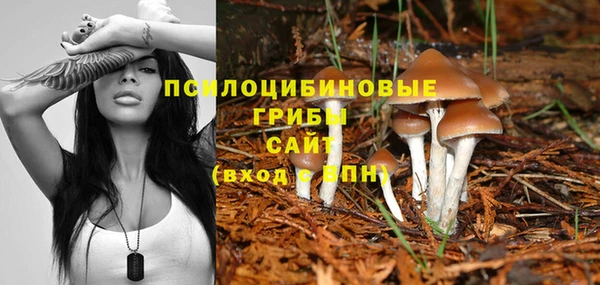 круглые Зеленокумск