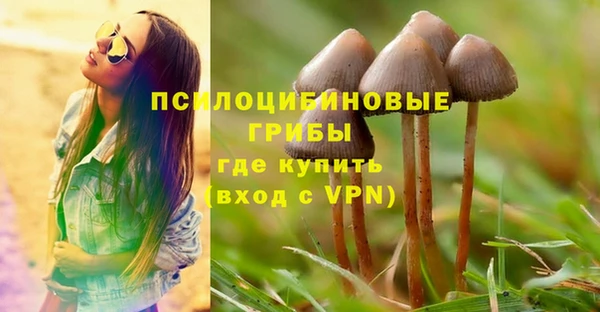 ECSTASY Зеленодольск
