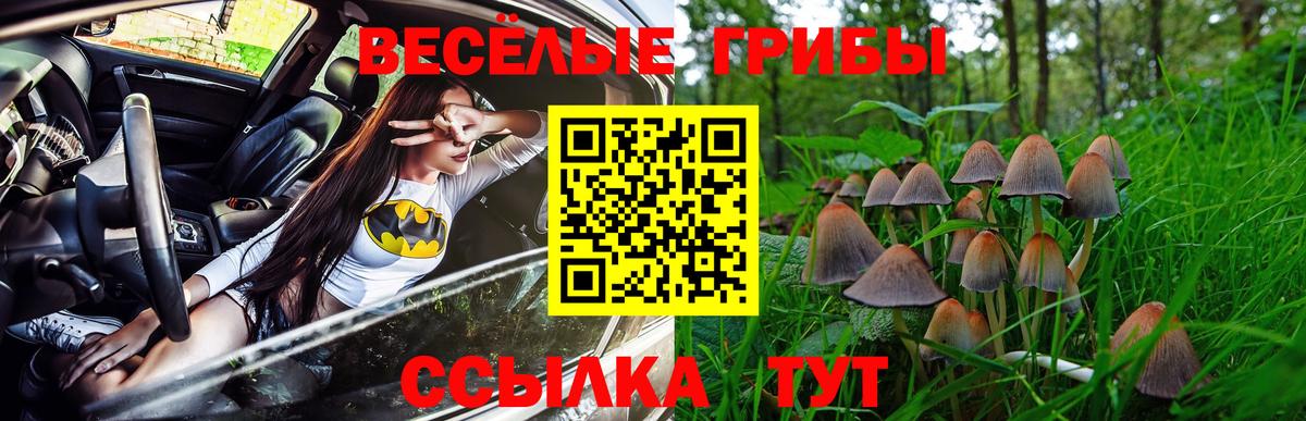 Галлюциногенные грибы Cubensis Вологда